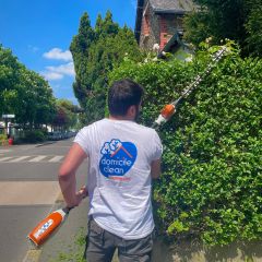 Ne subissez pas votre jardin🌿