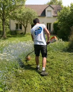 🌿 Préparer son jardin en septembre