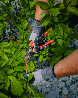 Anticiper le printemps